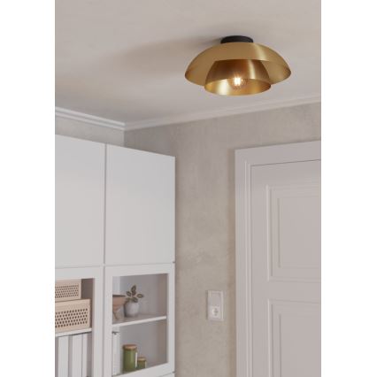 Eglo - Mennyezeti lámpa 1xE27/40W/230V