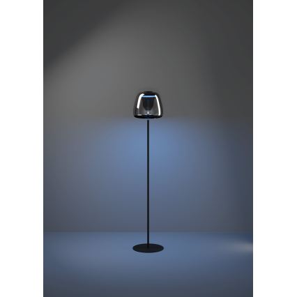 Eglo - LED RGBW fényerőszabályozható állólámpa LED/15,5W/230V 2700-6500K füstszínű