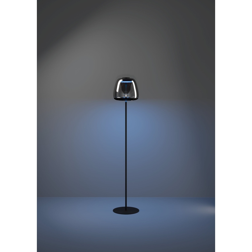 Eglo - LED RGBW fényerőszabályozható állólámpa LED/15,5W/230V 2700-6500K füstszínű