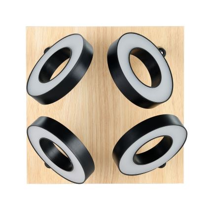 Eglo - LED spotlámpa 4xLED/4,2W/230V fekete/barna
