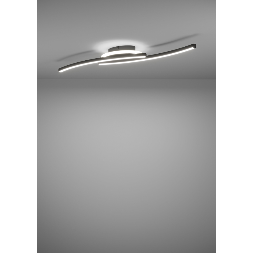 Eglo - LED Mennyezeti lámpa LED/12W/230V 4000K fekete