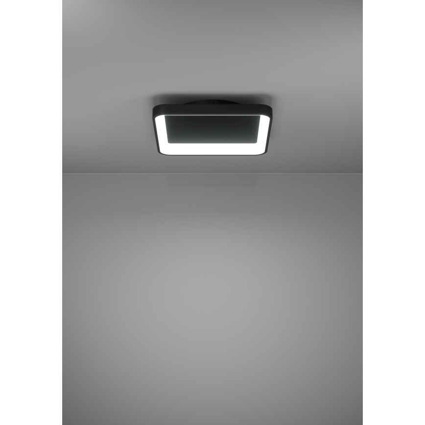 Eglo - LED Dimmelhető mennyezeti lámpa LED/12W/230V 2700-6500K fekete + távirányítás