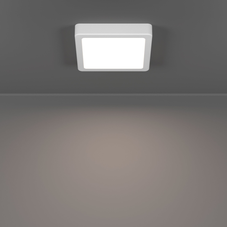 Eglo - LED mennyezeti lámpatest LED/7W/230V 2700/4000/6500K 15x15 cm fehér