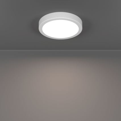 Eglo - LED fürdőszobai mennyezeti lámpatest LED/7,5W/230V 2700/4000/6500K átm. 16,6 cm IP44 fehér