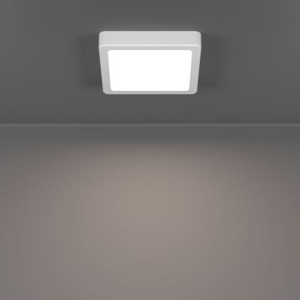 Eglo - LED fürdőszobai mennyezeti lámpatest LED/7W/230V 2700/4000/6500K 15x15 cm IP44 fehér