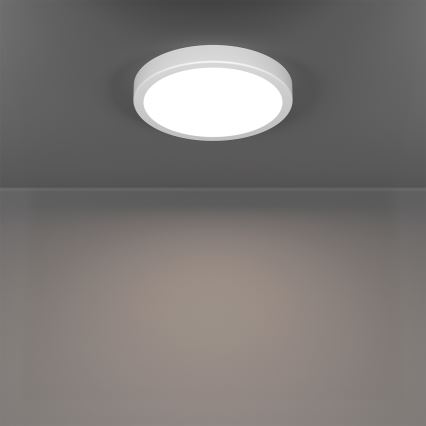 Eglo - RGBW LED dimmelhető fürdőszobai mennyezeti lámpatest LED/11,2W/230V 2700-6500K átм. 21,1 cm IP44 fehér