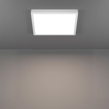 Eglo - LED RGBW dimmelhető fürdőszobai mennyezeti lámpatest LED/13,5W/230V 2700-6500K 29,5x29,5 cm IP44 fehér
