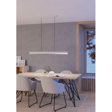 Eglo - LED RGBW dimmelhető, kábelen függesztett csillár LED/19W/230V 2700-6500K szürke