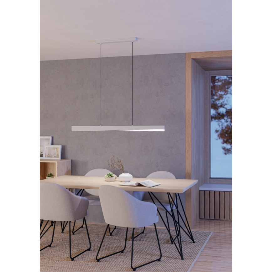 Eglo - LED RGBW dimmelhető, kábelen függesztett csillár LED/19W/230V 2700-6500K szürke