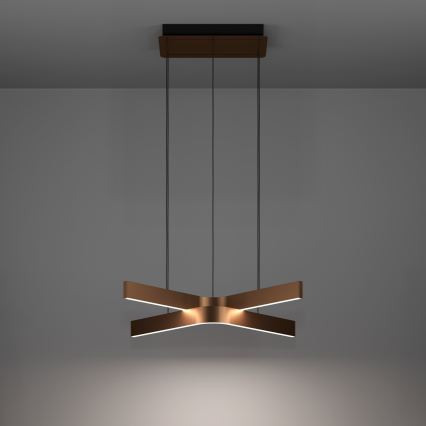 Eglo - LED RGBW dimmelhető kábeles függeszték 2xLED/18W/230V 2700-6500K réz/fekete