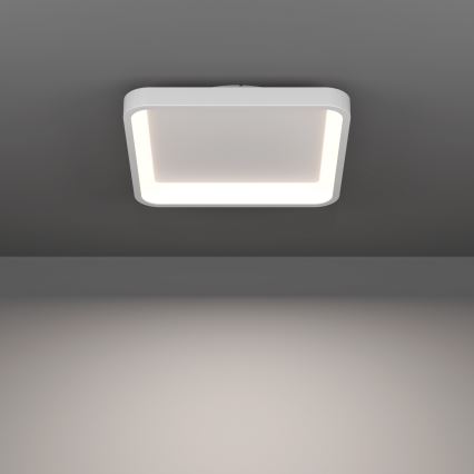 Eglo - LED RGBW dimmelhető mennyezeti lámpatest LED/20W/230V 2700-6500K 35x35 cm fehér