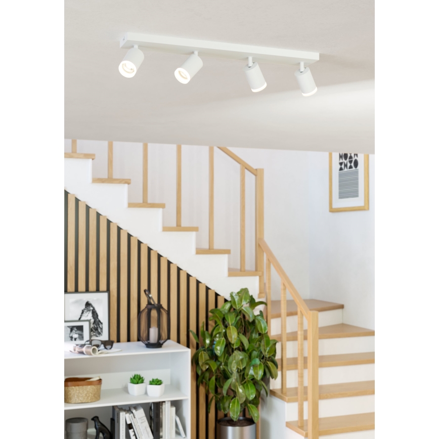 Eglo - LED RGBW dimmelhető spotlámpa 4xLED/3,7W/230V 2700-6500K fehér