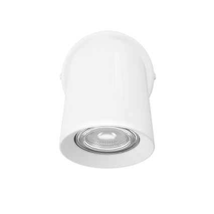 Eglo - Fali spotlámpa 1xGU10/5W/230V fehér