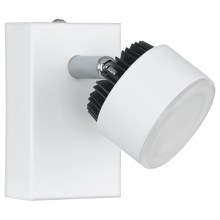 Eglo 93852 - LED Spotlámpa ARMENTO 1xLED/6W/230V