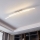 Eglo 96092 - PERTINI LED mennyezeti lámpa 2xLED/10,8W/230V