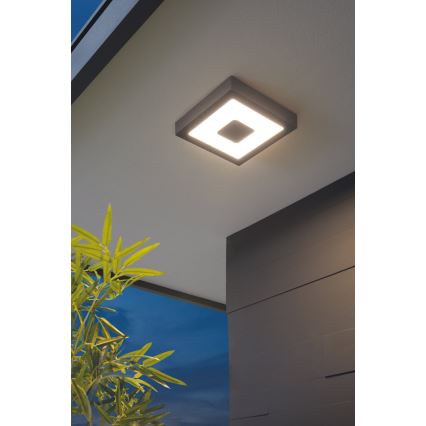 Eglo - LED Fürdőszobai lámpa LED/16,5W/230V