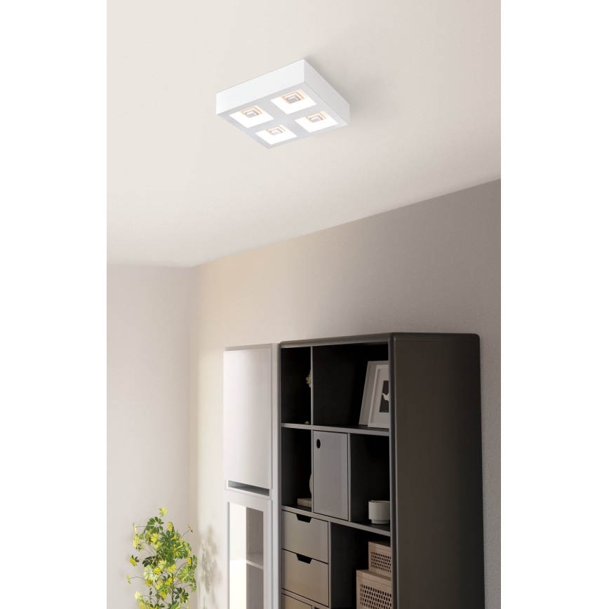 Eglo - LED Mennyezeti lámpa 4xLED/6,3W/230V