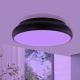 Eglo 96996 - LED RGB Mennyezeti lámpa RIODEVA-C 1xLED/27W/230V