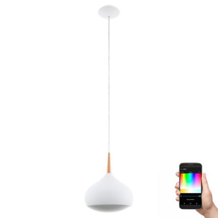 Eglo 97087 - LED Függeszték COMBA-C 1xLED/18W/230V