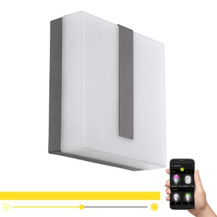 Eglo - LED állítható fényerejű kültéri fali lámpa TORAZZA-C LED/14W/230V IP44