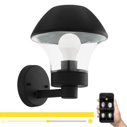 Eglo 97446 - LED Dimmelhető kültéri fali lámpa VERLUCCA-C 1xE27/9W/230V Bluetooth