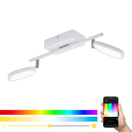 Eglo 97692 - LED RGB spotlámpa PALOMBARE-C 2xLED/5W/230V