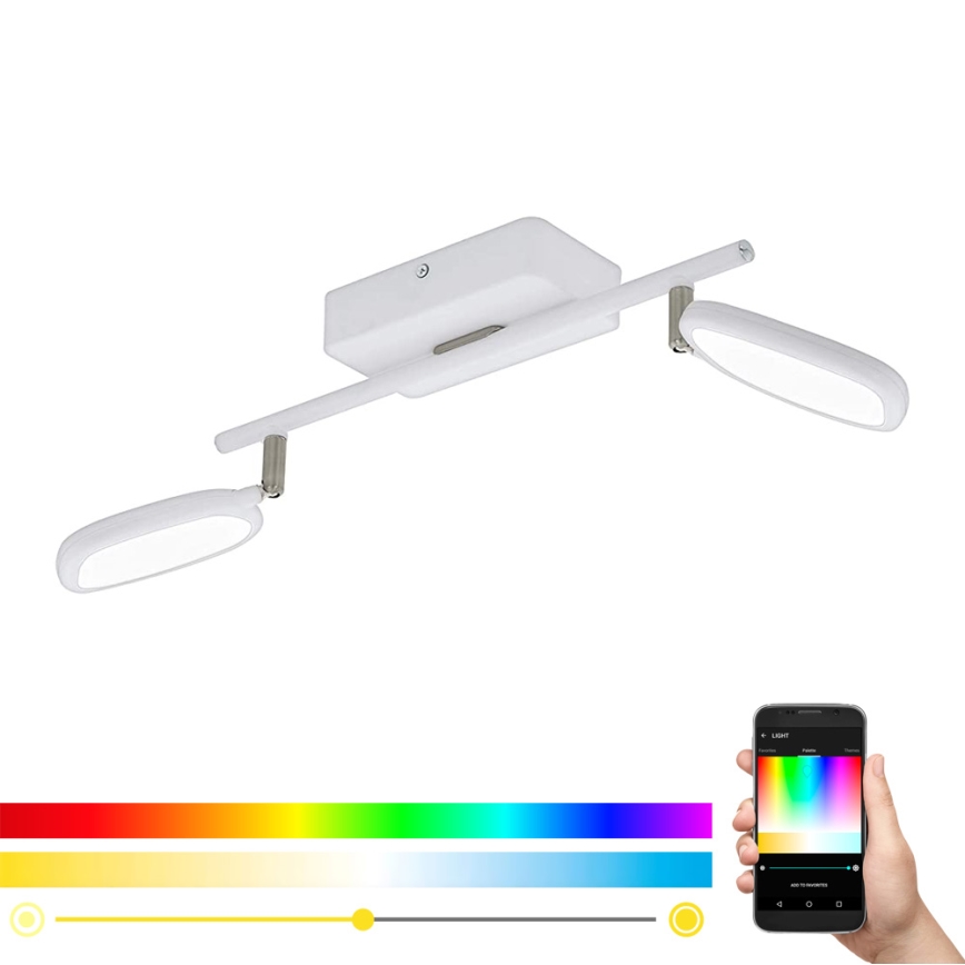 Eglo 97692 - LED RGB spotlámpa PALOMBARE-C 2xLED/5W/230V