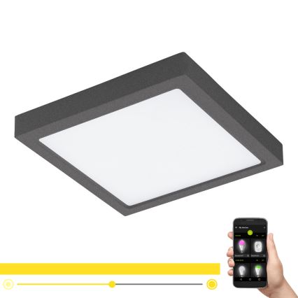 Eglo - LED állítható fényerejű kültéri lámpa ARGOLIS-C LED/22W/230V IP44 Bluetooth