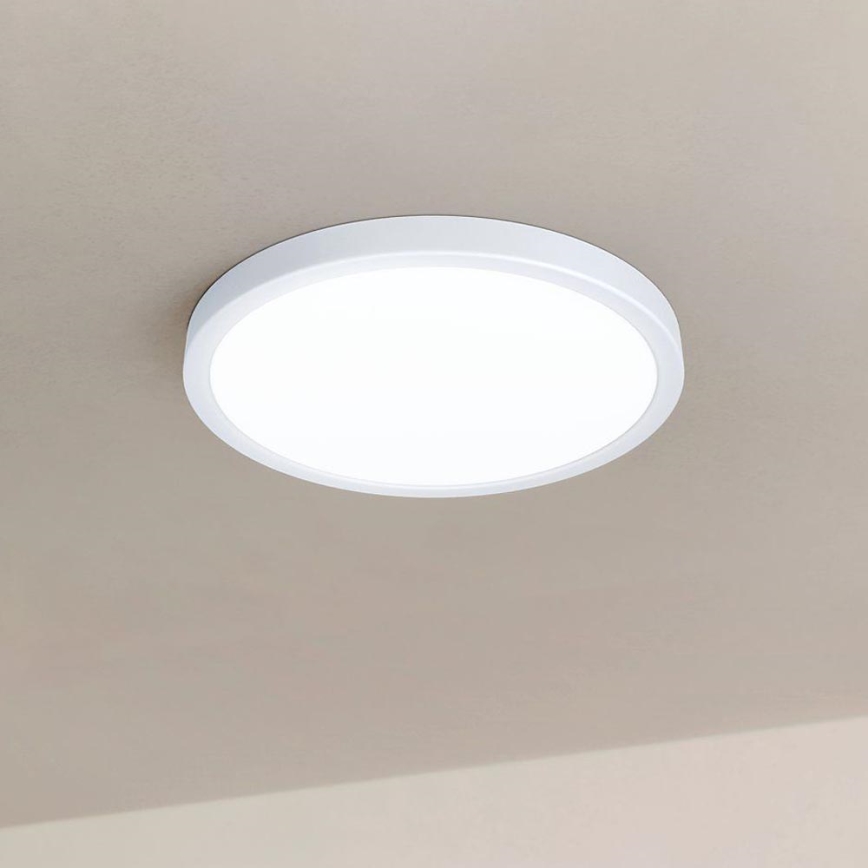 Eglo - LED dimmelhető mennyezeti lámpa LED/20W/230V + távirányító átm. 30 cm