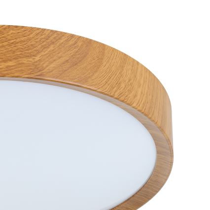 Eglo - LED Mennyezeti lámpa LED/14,6W/230V