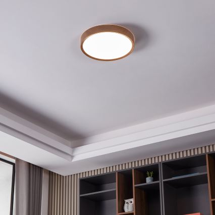 Eglo - LED Mennyezeti lámpa LED/33,5W/230V