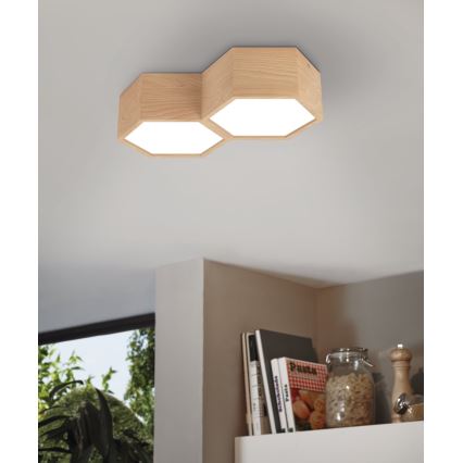 Eglo - Mennyezeti lámpa 2xE27/9W/230V