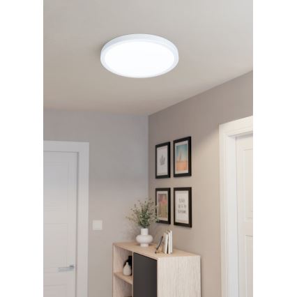 Eglo - LED mennyezeti lámpa LED/20W/230V Ø 28,5 cm