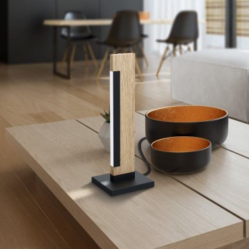 Eglo 99295 - Fényerőszabályozható CAMACHO asztali lámpa LED/6,5W/230V