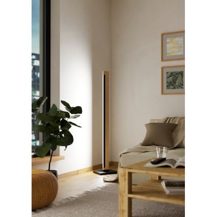 Eglo - LED Dimmelhető érintős állólámpa CAMACHO LED/22W/230V