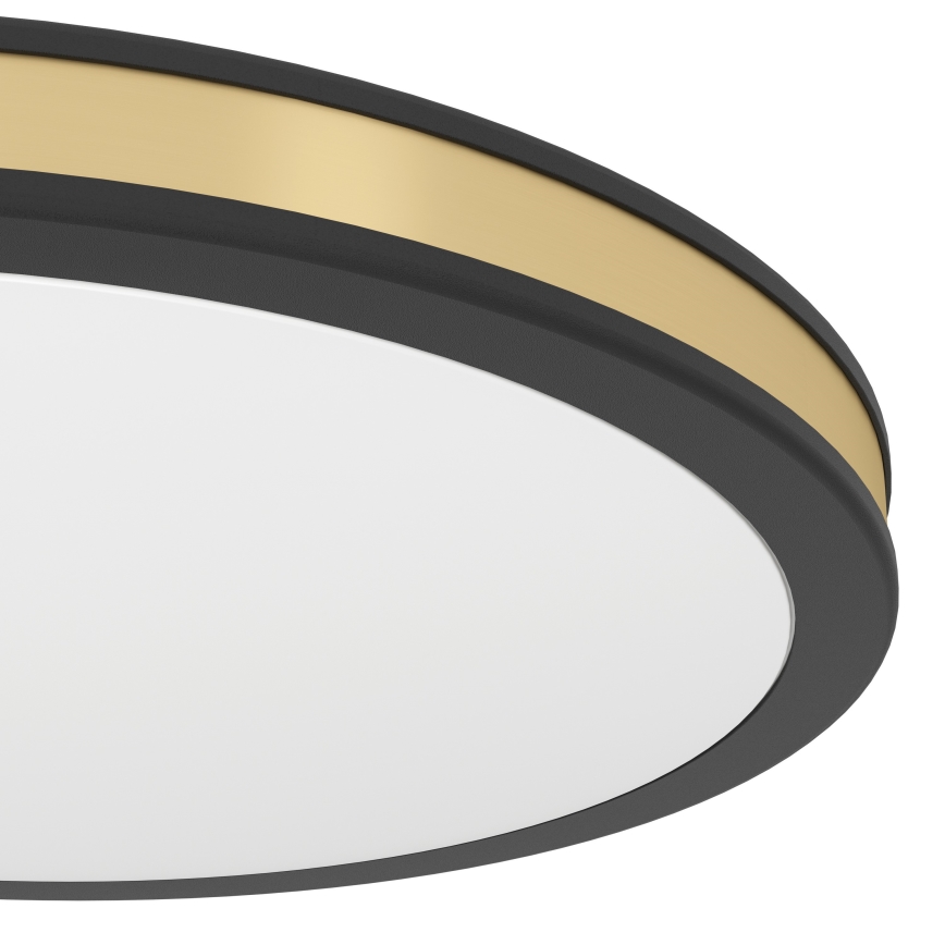 Eglo - LED Mennyezeti lámpa LED/11W/230V
