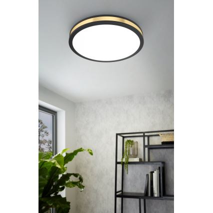 Eglo - LED Mennyezeti lámpa LED/24W/230V