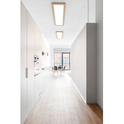 Eglo - Lámpatest keret SALOBRENA 300x1200 mm