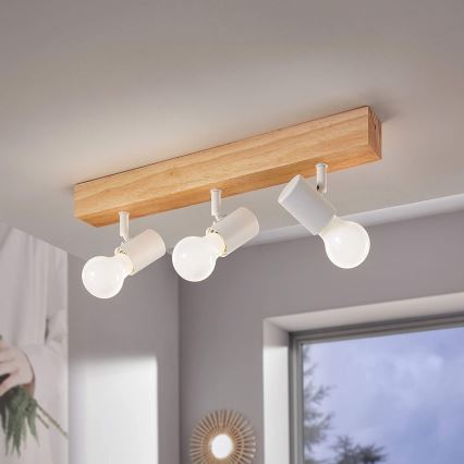 Eglo - Spotlámpa TOWNSHEND 3xE27/60W/230V