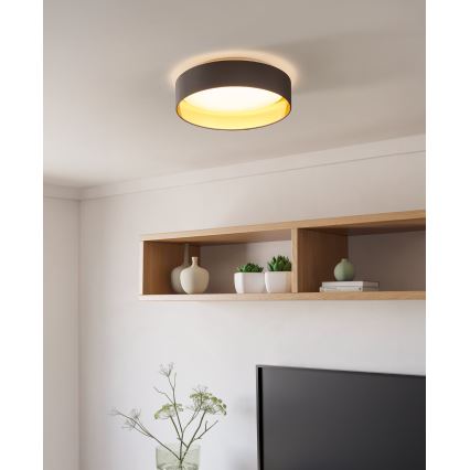 Eglo - LED Mennyezeti lámpa LED/24W/230V