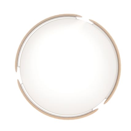 Eglo - LED Mennyezeti lámpa LED/24W/230V