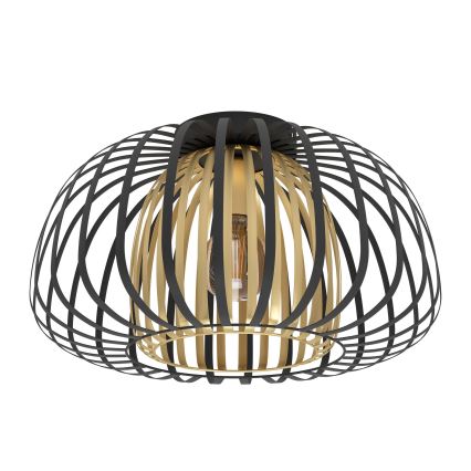 Eglo - Mennyezeti lámpa 1xE27/40W/230V