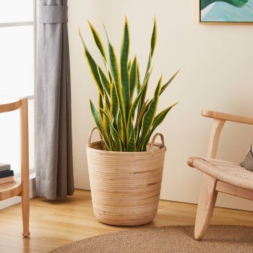 Eglo - Dekoratív kosár 41x36 cm rattan