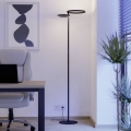 Eglo - Fényerőszabályozható LED állólámpa LED/16W/230V + LED/12W fekete