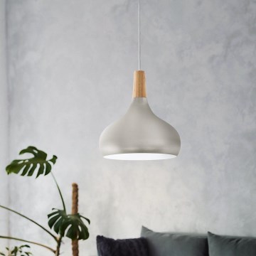Eglo - Függeszték 1xE27/60W/230V átmérő 28 cm ezüst