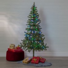 Eglo - Karácsonyfa 180 cm lucfenyő
