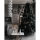 Eglo - Karácsonyfa 250 cm lucfenyő