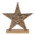 Eglo - Karácsonyi dekoráció 21x20,5 cm csillag/arany