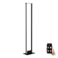 Eglo - LED Dimmelhető állólámpa LED/33W/230V 2700-6500K