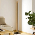 Eglo - LED Dimmelhető érintős állólámpa CAMACHO LED/22W/230V
